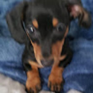 Meet your Posher, Jonathan